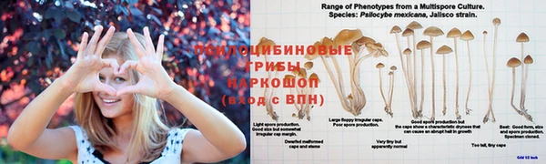 кокаин VHQ Абинск