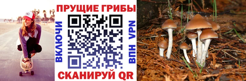 даркнет какой сайт  Усолье-Сибирское  Псилоцибиновые грибы Psilocybe 