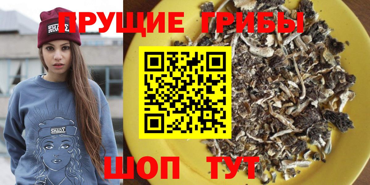 Галлюциногенные грибы Magic Shrooms  Вход с VPN  Усолье-Сибирское 